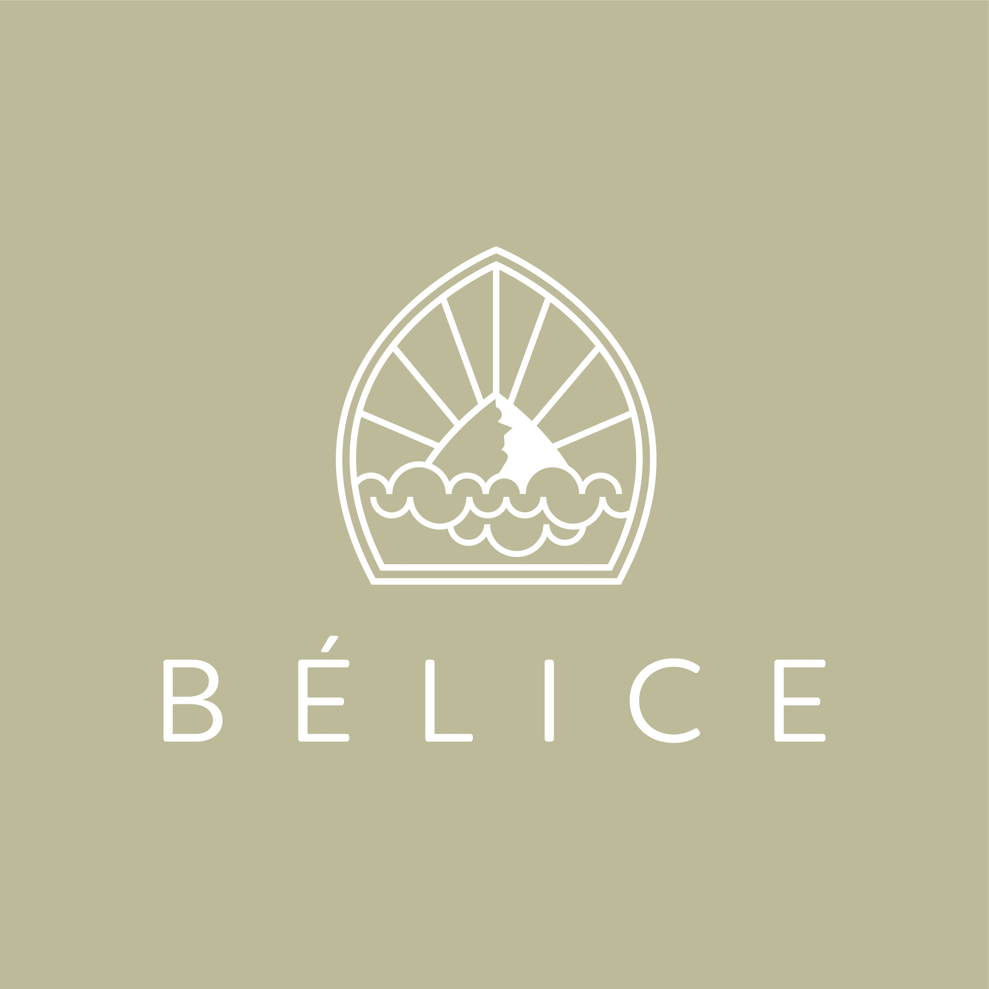 Savon Nymphéa visage Bio