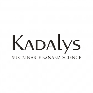 Gel douche exfoliant bio banane jaune - Kadalys