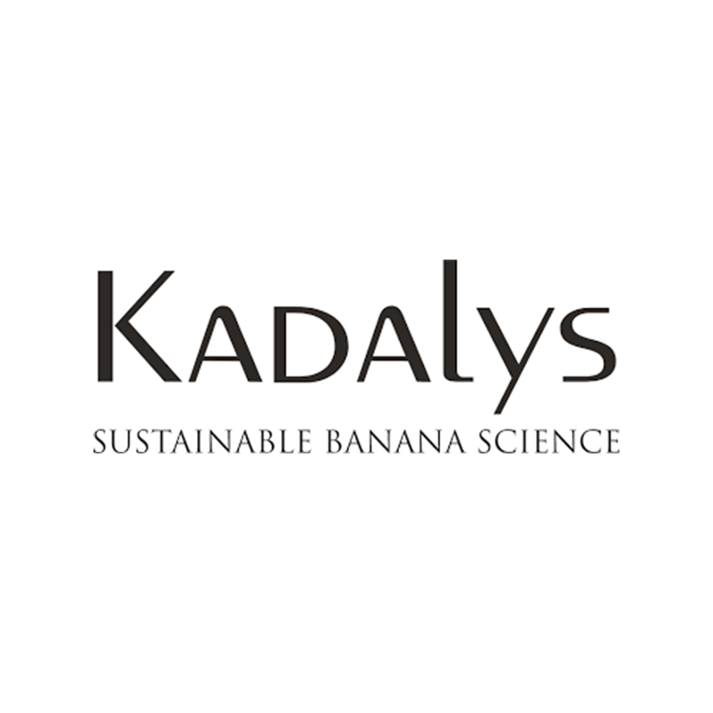 Gel douche exfoliant bio banane jaune - Kadalys