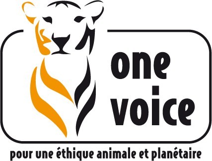 logo-One-Voice BASELINE.jpg