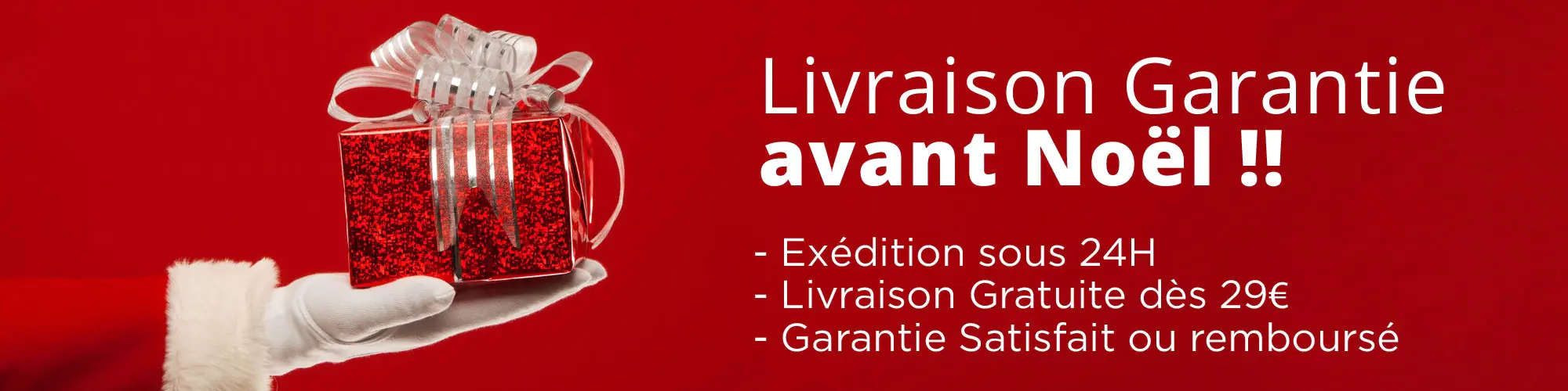 Livraison garantie avant Noël