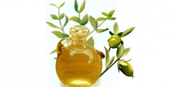 8 bienfaits de l'huile végétale de Jojoba BIO