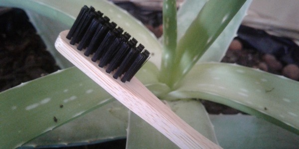 5 raisons d'adopter la brosse à dents en bambou