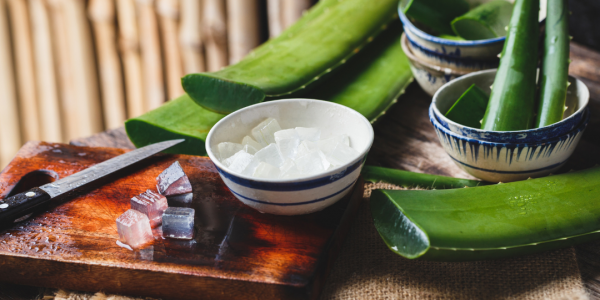 Comment utiliser le gel d'aloe vera bio ?