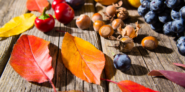 Savourez l'Automne : Découvrez les bienfaits nutritionnels des Fruits et Légumes de saison