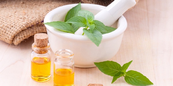 10 raisons d’adorer l’huile de jojoba